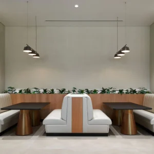 Boom Harmony Soundbox